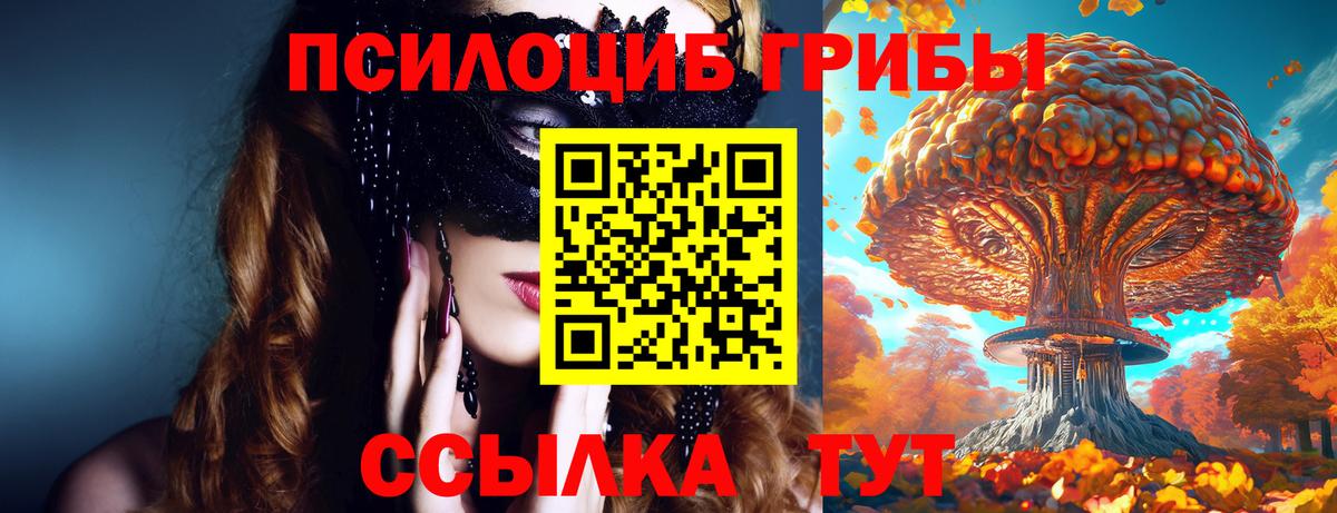 Галлюциногенные грибы Psilocybe  сколько стоит  Вход с VPN  Волжск  Галлюциногенные грибы ЛСД 